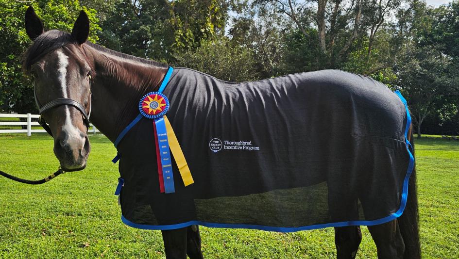 Thoroughbred Incentive Program, T.I.P., The Jockey Club, Aftercare, horse racing, America's Best Racing, ABR .